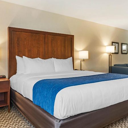 Comfort Inn & Suites Near Route 66 Линкольн Номер фото